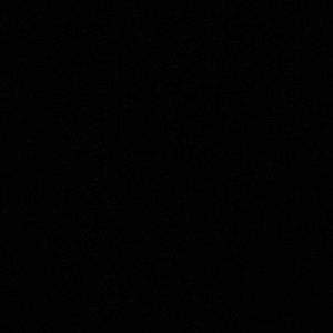 Meet your Posher, Ani